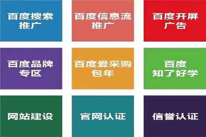 行业标杆：SEM托管公司案例解析